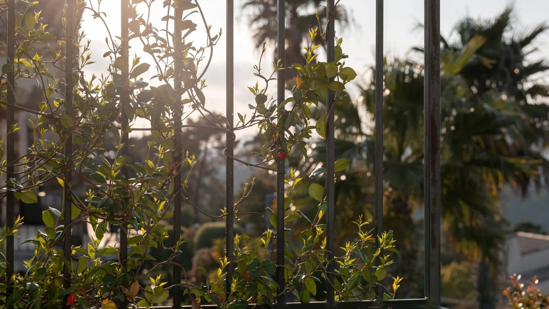 Riviera Mandelieu Villa フランス